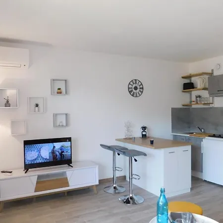 Beautiful Anthala Studio With Pool Parking And Air Conditioning Антиб